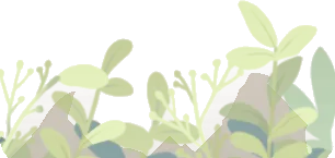 春に芽吹く草の画像