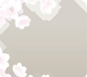 集い咲く白桜の画像