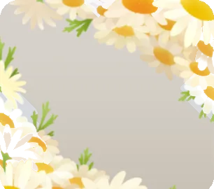 マーガレットフレームの画像