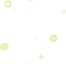 水辺の蛍たちの画像