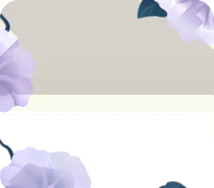 優雅に咲く夜顔の画像