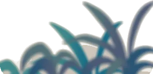 温室の翡翠色の草の画像