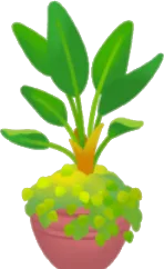 パラダイスの植木鉢の画像
