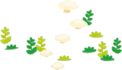 キノコの森のステップの画像