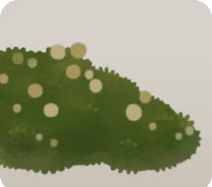 雨水を吸った苔の画像