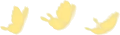 下を飛ぶ蝶の群れの画像