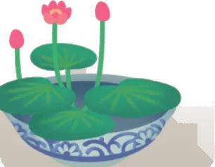 蓮の碗の画像