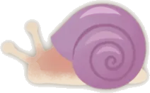 カタツムリ・紫の画像