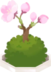 桜の苔玉盆栽の画像