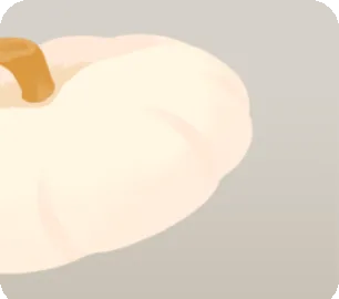 かぼちゃのふた・白の画像