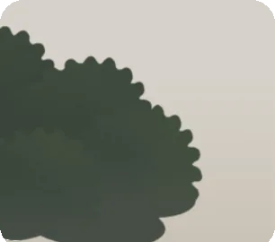 かくれんぼの草むらの画像