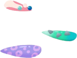 リヴリーネイルチップの画像