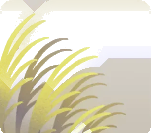 月明りで光り輝くススキの画像