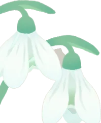 可憐なスノードロップの画像