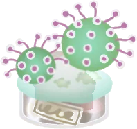 モウセンダマの画像