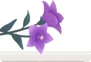 庭で摘んだ桔梗の画像