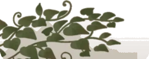 足元を這う草の画像