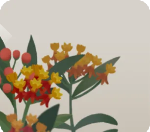 屋敷に広がるアスクレビアスの画像