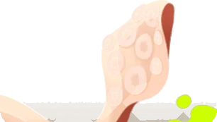 忍び寄る大きなイカ足の画像
