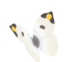 一休みしているツマキチョウの画像