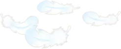 ふんわりとした羽根の画像