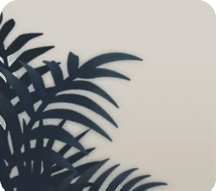 ラウンジの観葉植物の画像