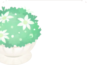 フランネルフラワーが咲くポットの画像