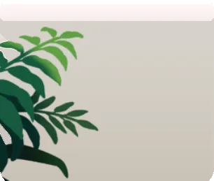 鬱蒼と茂った植物・左の画像
