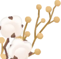 綿花と枯草の画像