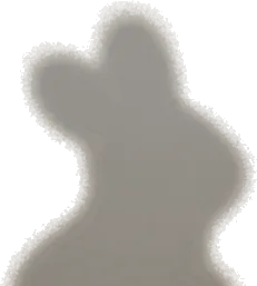 遠くを横切る影の画像