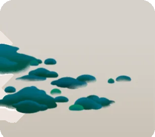 霧の森を覆う苔・左の画像