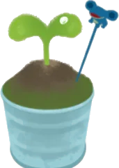 何かの芽が出たブリキ鉢の画像