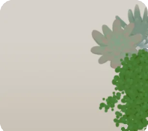 寄せ植えられた多肉植物の画像
