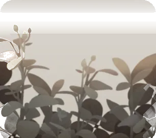 曇り空の草花の画像
