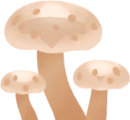 背高マッシュルーム・白の画像