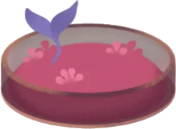 小さなシャーレで育つ木の芽の画像