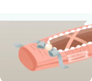 ペーパークラフトのトゥシューズの画像