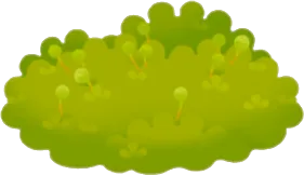 密集して生えた苔の画像