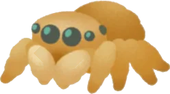 働き者のハエトリグモの画像