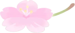 一輪の桜の画像