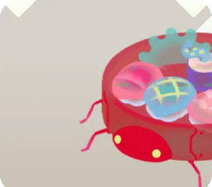 リヴリー用寿司桶の画像