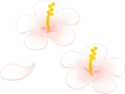 リゾート地の小さな造花の画像