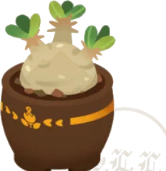 小さいゲストハウスの植木の画像