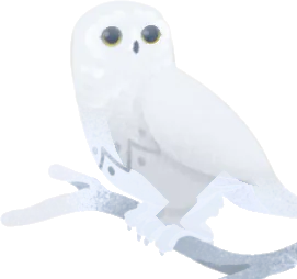 静かに見守る白いフクロウの画像