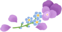 ビオラと勿忘草の画像