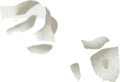 転がるティッシュのゴミの画像