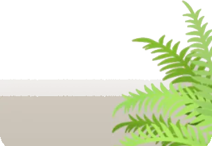大きめの観葉植物の画像