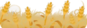 熱気に照らされる穂の画像