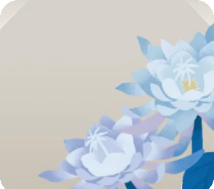 開花した月下美人の画像