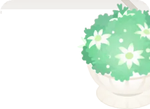 フランネルフラワーの入ったポットの画像